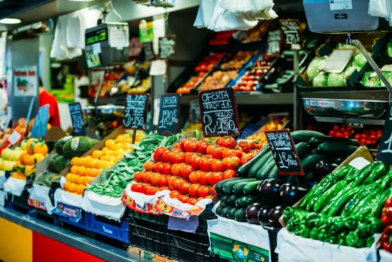 Decidindo o Futuro: influência do campo
                            Artificial